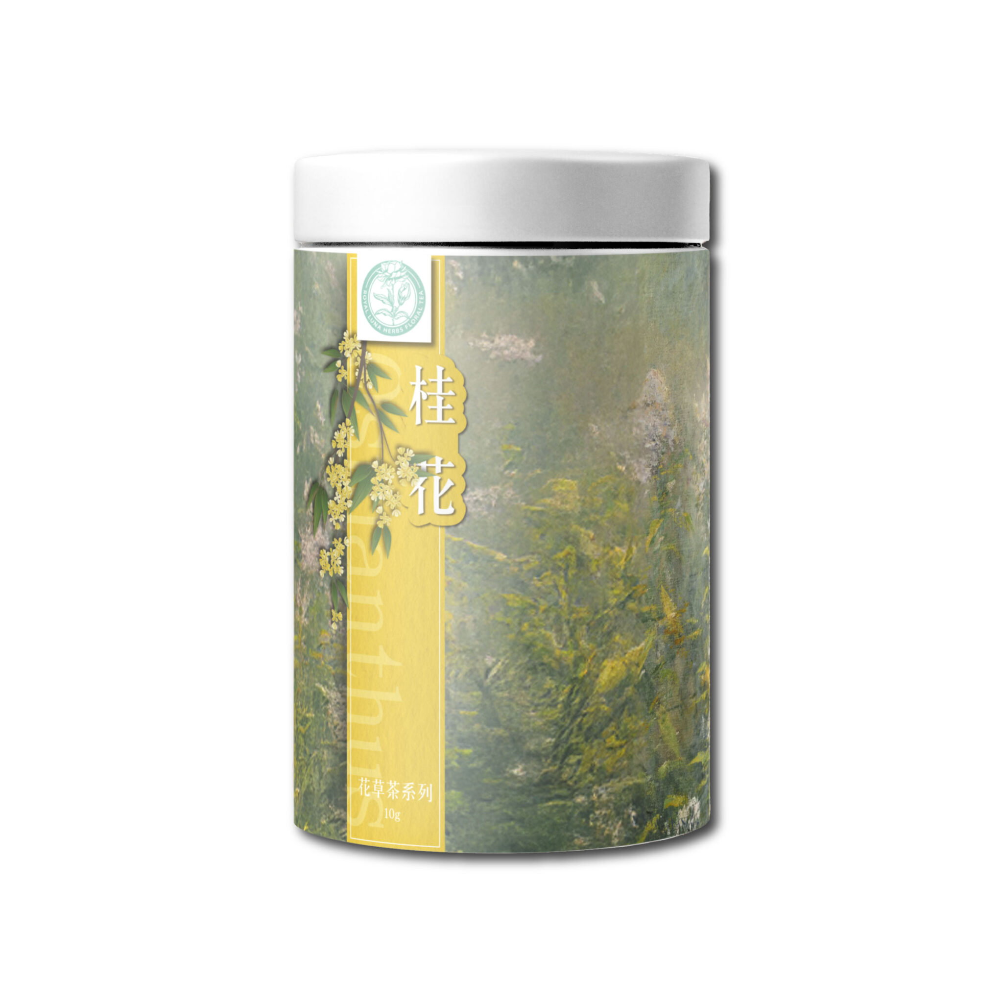 桂花 Osmanthus