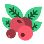 Berry_13162742