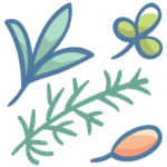 Herbs_11346483